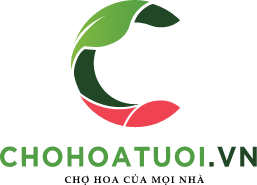 ChoHoaTuoi.vn