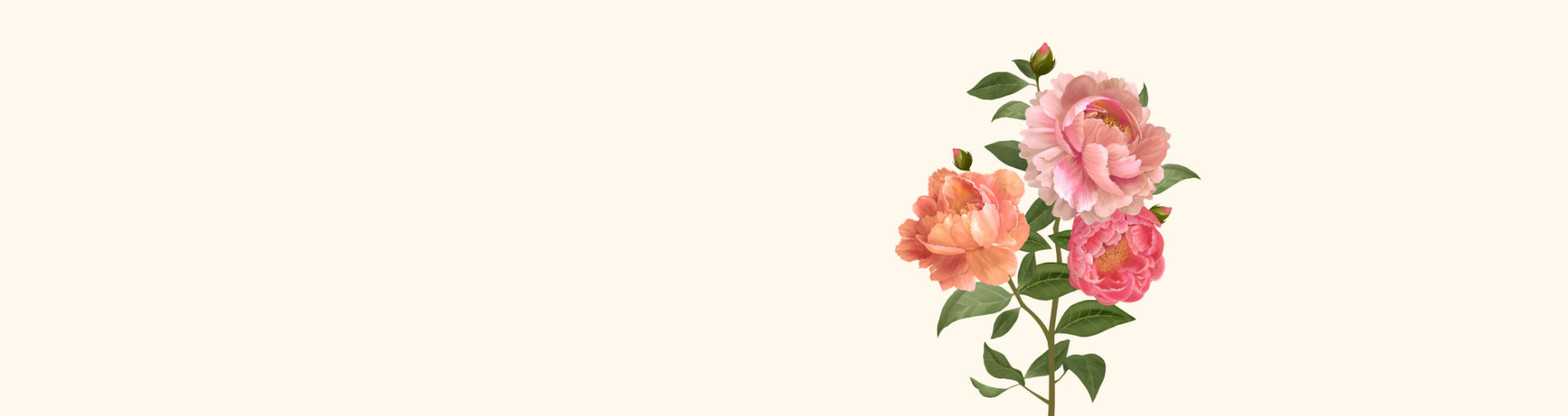 Nhà phân phối hàng đầu Việt Nam