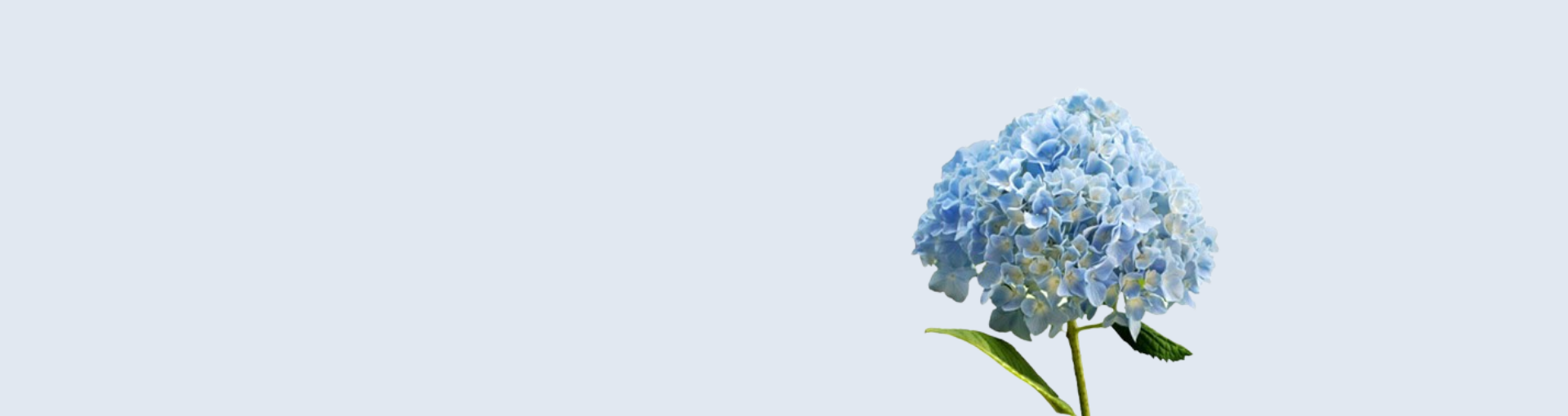 Quy trình tiên tiến