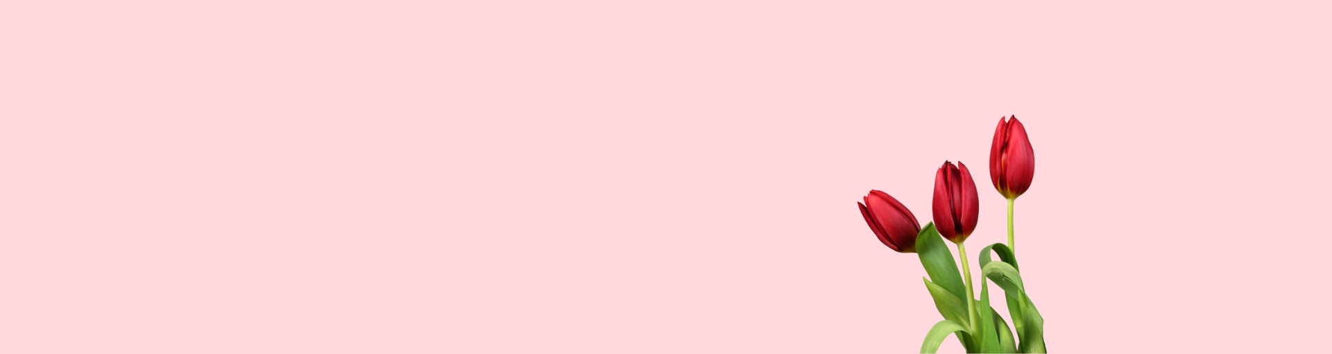 Cam kết chất lượng